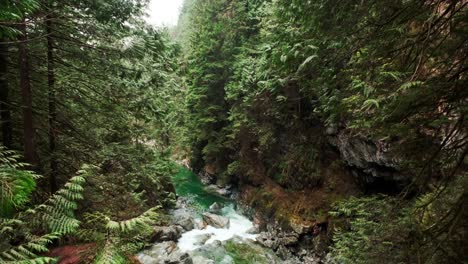 Overlooking-beautiful-river-with-mild-rapids