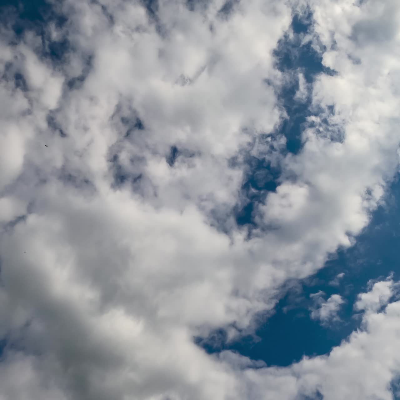 Grey clouds transforming quickly. Puffy soft clouds at the backdrop of dark blue sky. Timelapse from low angle view