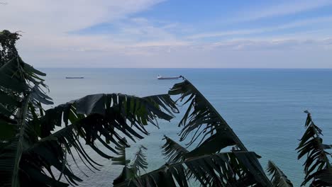palm trees and oil tanker on black sea horizon, very relaxing and peaceful scenery..