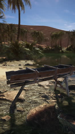 a wooden boat resting in a desert oasis