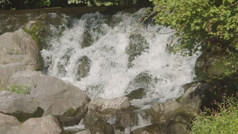 Una-Cascada-A-Cámara-Lenta-Al-Río-En-El-Bosque