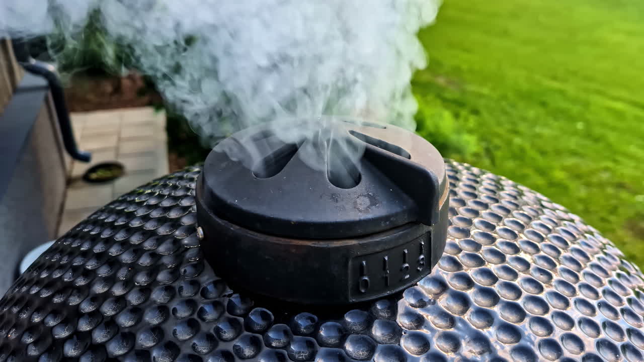 A ceramic kamado grill emits thick white smoke through its vent while cooking outdoors on a green lawn