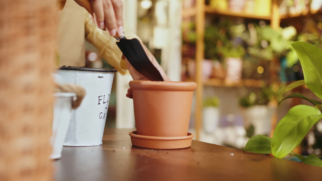persona plantando una planta en una olla