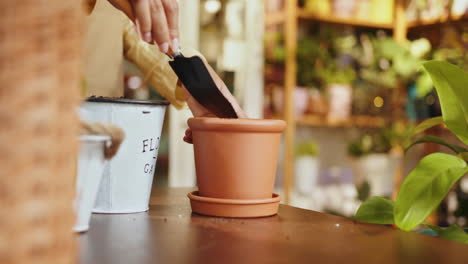 person planting a plant in a pot