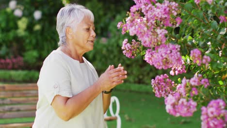 video of happy biracial senior woman smelling flowers in garden
