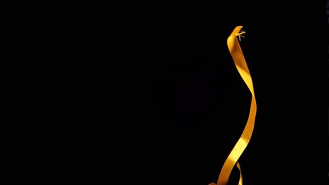 static slow motion shot of falling gift ribbon in red and yellow for aesthetic and upscale shots