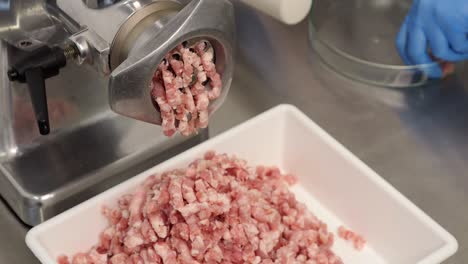 grinding pork meat in a meat grinder