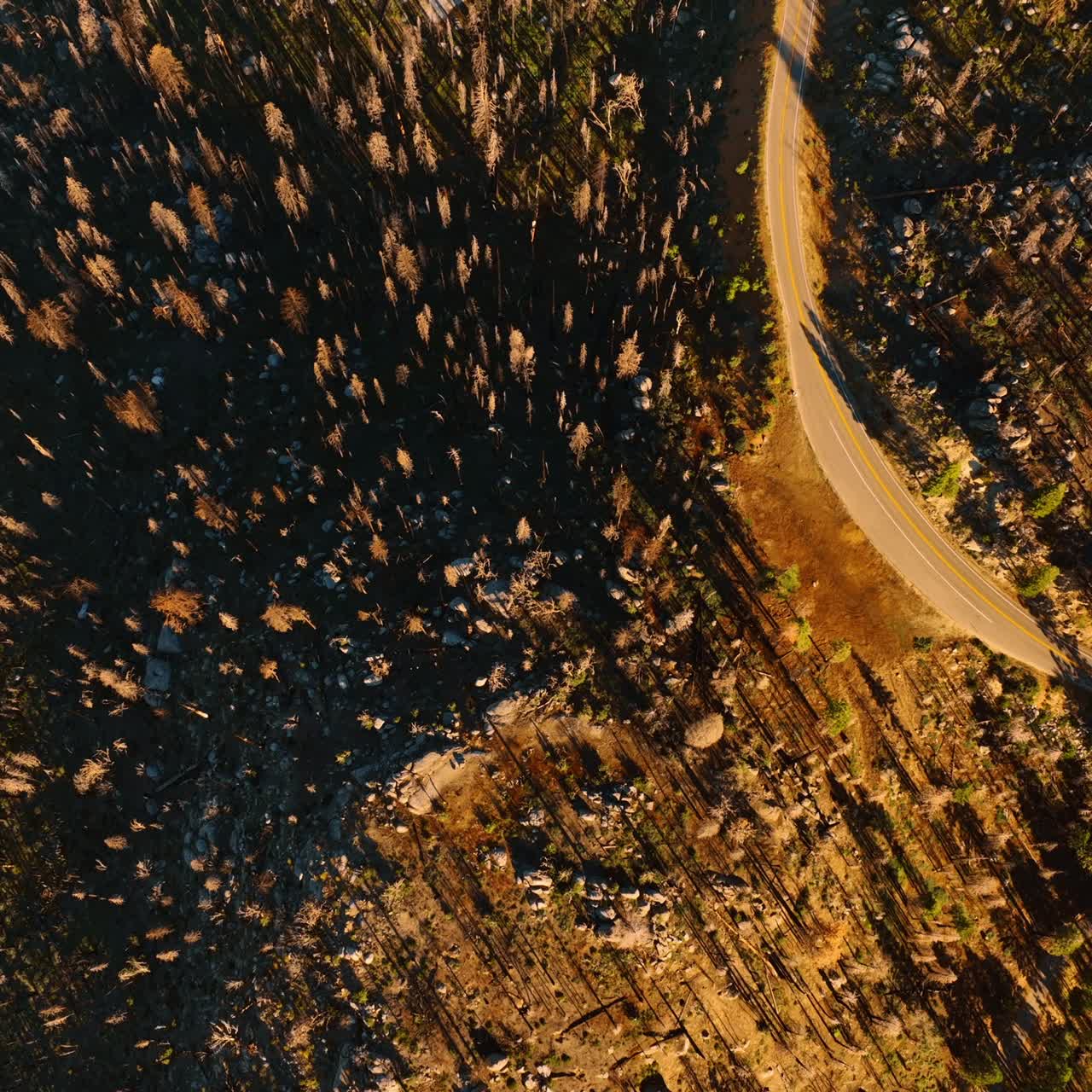 Sierra national forest aerial view. American mountain travel valley