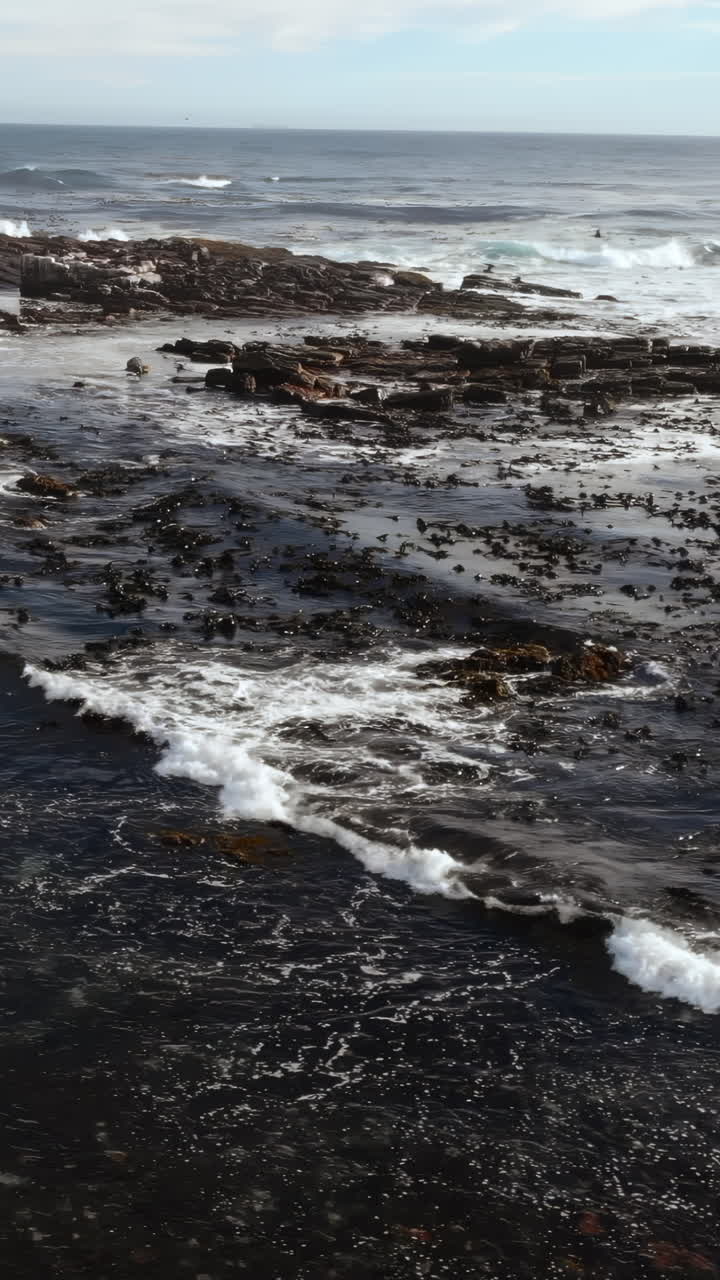 Onde oceaniche e uccelli su una costa rocciosa