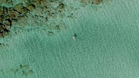 persona solitaria buceando cerca de la costa de la isla de creta, vista aérea de arriba hacia abajo ascendente