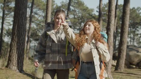 front view of two female friends with backpacks hiking together in the forest on a sunny day