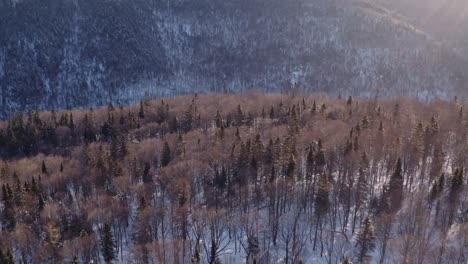 Inclinación-Dinámica-Hacia-Abajo-Y-Revelación-Del-Valle-Y-El-Río-Nevados,-Bosque-De-Invierno-En-El-Parque-Nacional-Jacques-Cartier-Quebec,-Canadá