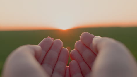 women's palms hold the rising sun