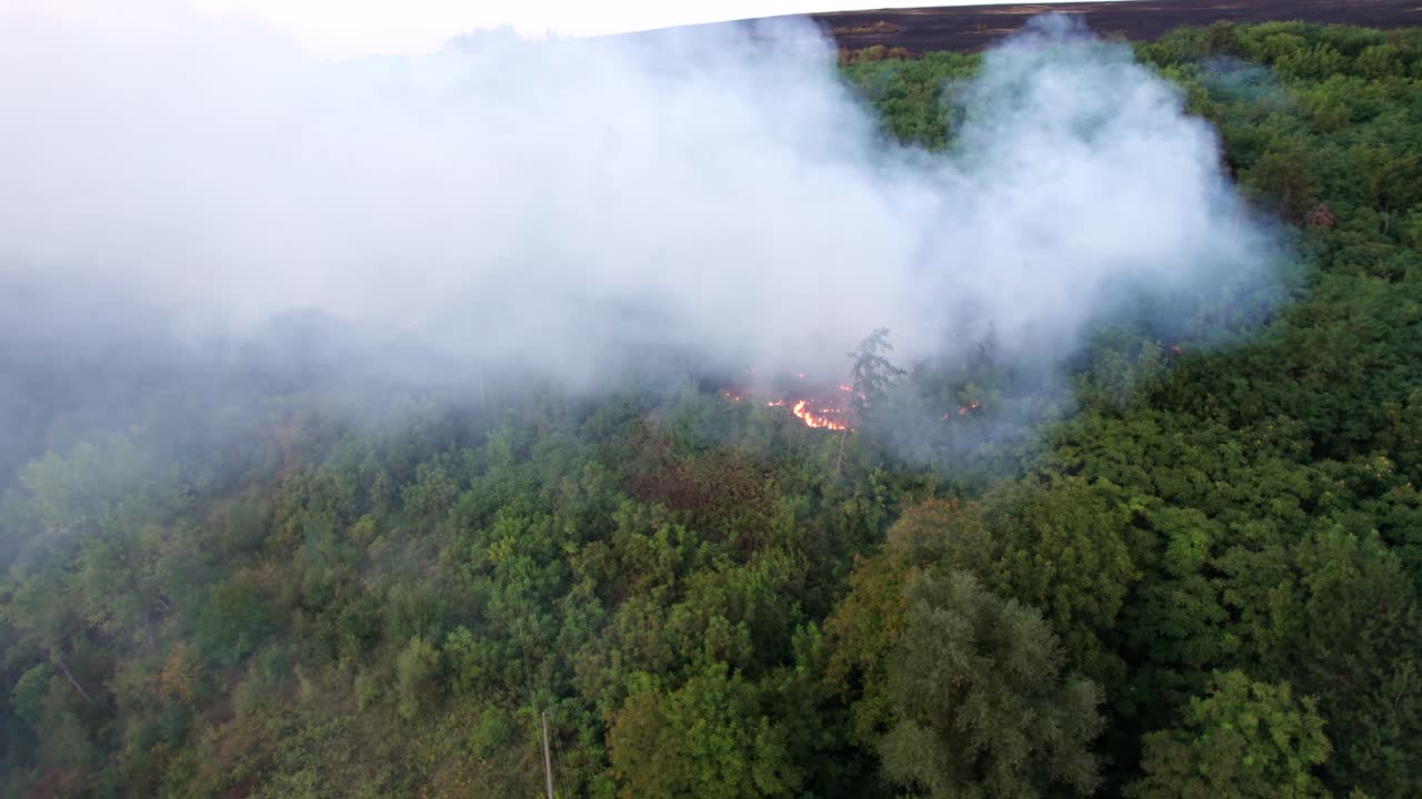 disparo de drones de incendios forestales en las montañas de bulgaria en verano
