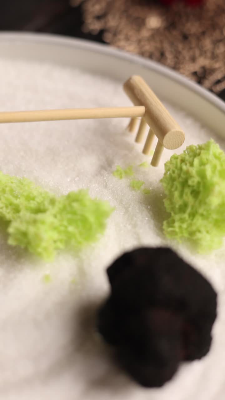 래크 와 식물 이 있는 소형 젠 정원