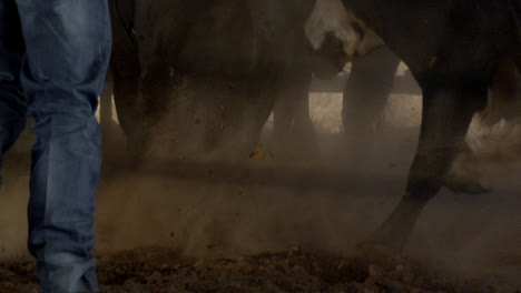 Horses-kicking-up-dirt-as-cowboy-walks-through-sunlight-in-before-a-bull-riding-rodeo-event-in-Texas