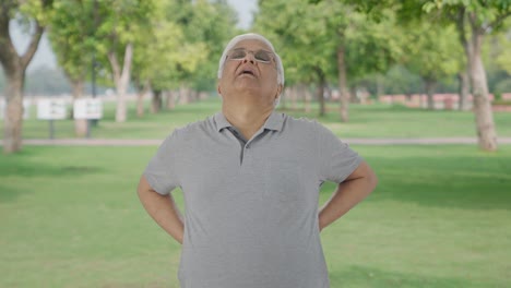 Sick-Indian-old-man-having-a-back-pain-in-park