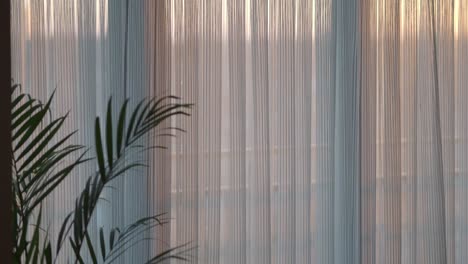 sunlight streaming through sheer curtains
