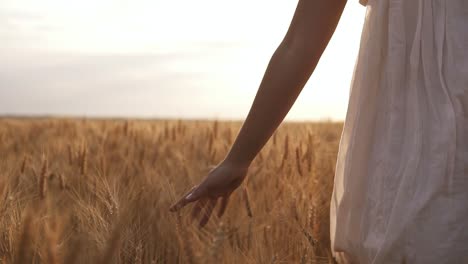 Sommertag,-Frau-In-Weiß-Läuft-Durch-Weizen-In-Einem-Klaren,-Weiten-Feld