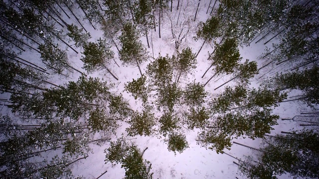 Aerial drone capture of snow-laden terrain following a storm in the Upper Peninsula