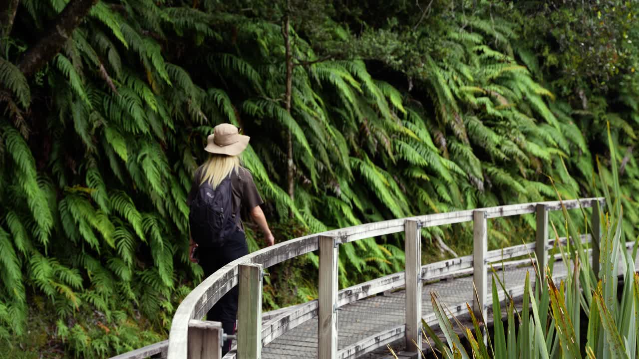 Woman Hiking on a Wooden Bridge Through a Lush Fern Forest