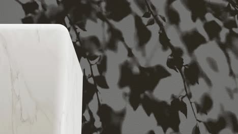 white marble pedestal with shadow of branches on a black background