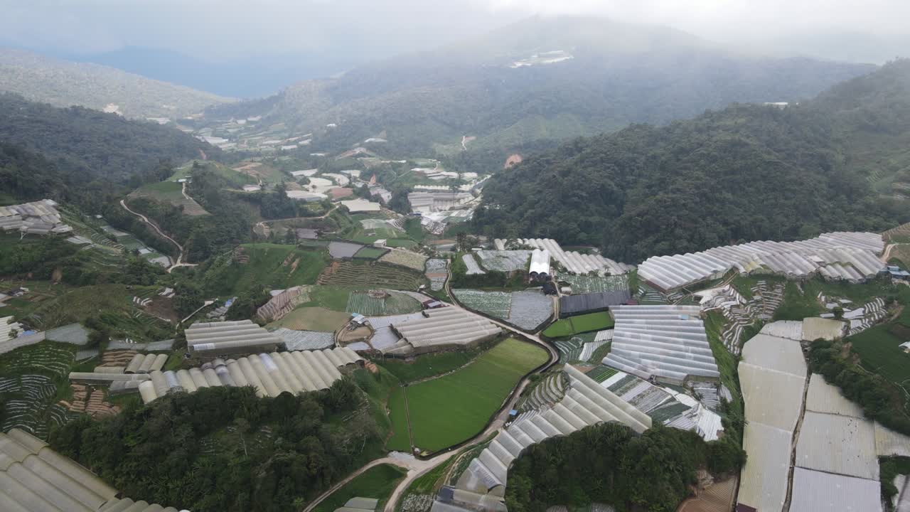 말레이시아의 카메론 하이랜드 지역 내의 브린창 지역의 일반 풍경