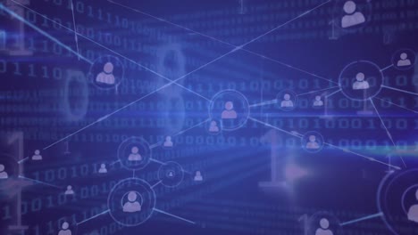 red de datos y conexiones