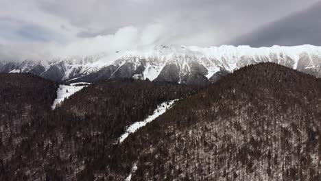 Toma-Aérea-Volando-Sobre-El-Bosque-De-Pinos-Verdes-En-Una-Cordillera-Cubierta-De-Nieve