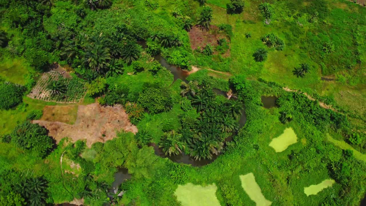 Aerial of wetlands in the countryside of Nigeria, Africa on a sunny day. The drone slowly spins around the marshes. Local fish ponds can be seen