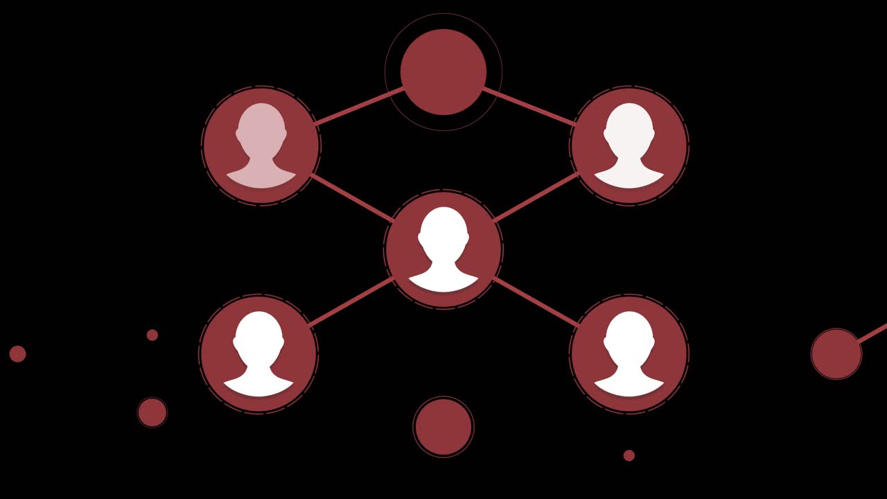 conexiones con las redes sociales