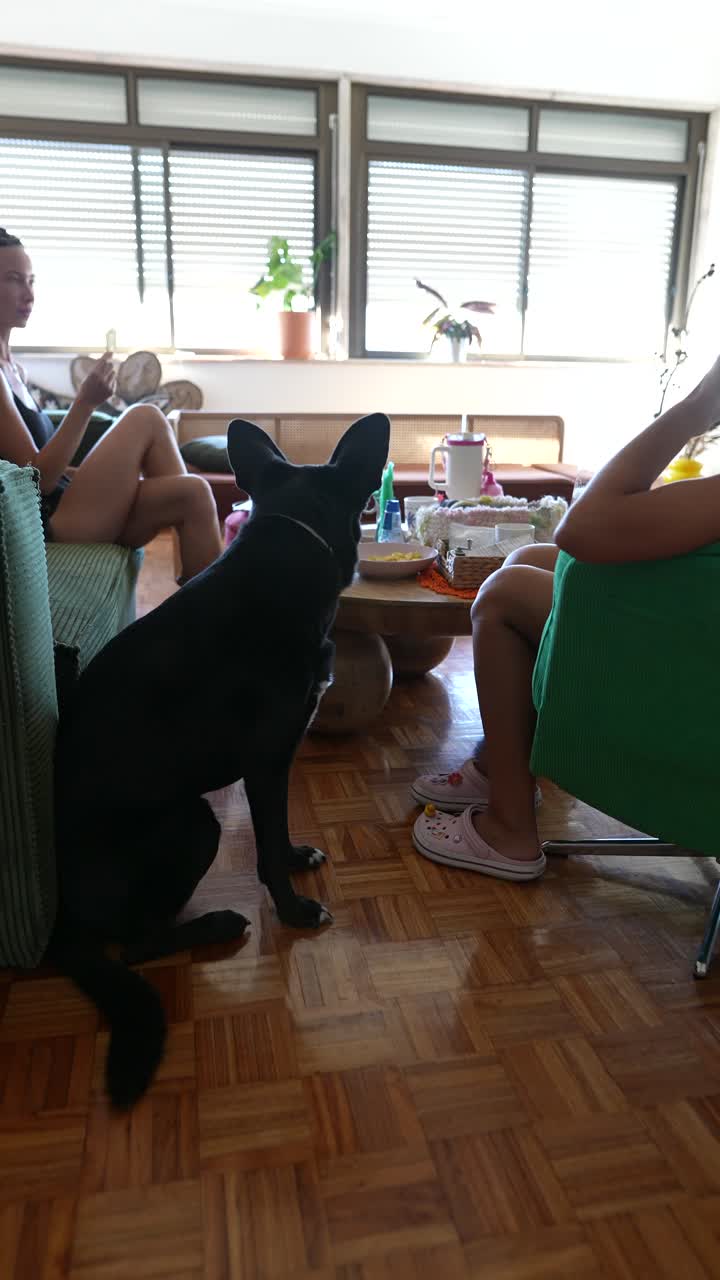 A black dog sitting in a living room with people