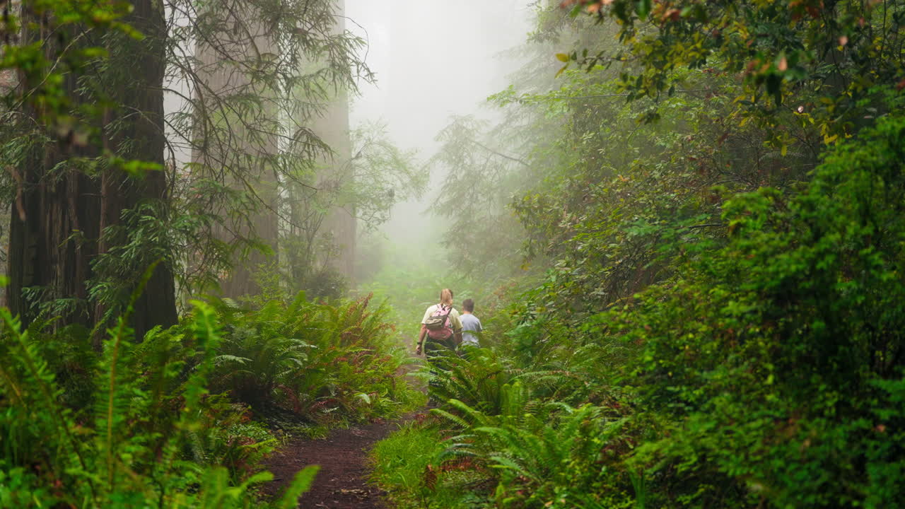 Young mother and children enjoy healthy walk through the woods outdoors