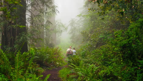 young mother and children enjoy healthy walk through the woods outdoors