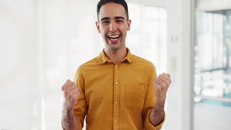 celebración, ganando y hombre de negocios con éxito