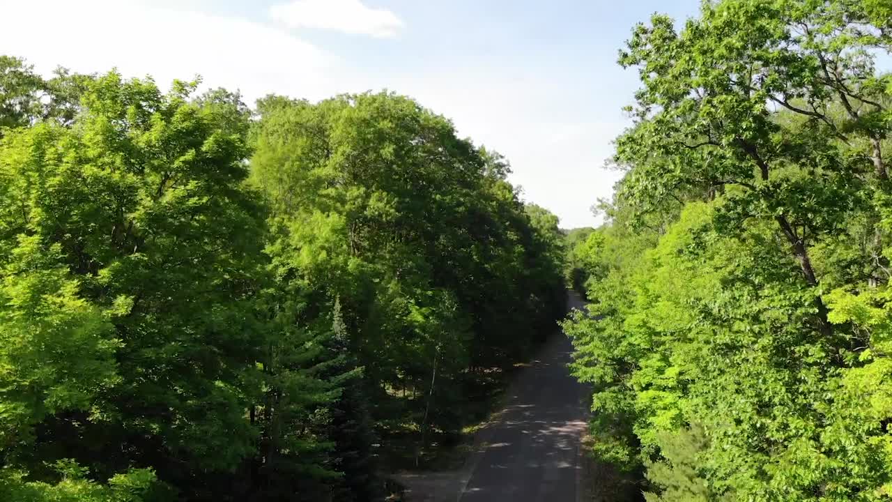 정지된 차가 있는 숲을 통과하는 도로와 멀리 있는 숲 캐노피와 호수의 공중 전망