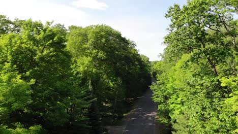 Straße-Durch-Den-Wald-Mit-Angehaltenem-Auto-Und-Luftbild-Von-Waldkronen-Und-See-In-Der-Ferne