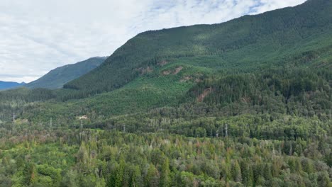 amplia vista aérea de baring, montañas densamente boscosas de washington