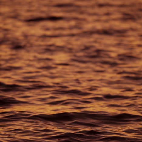 monohrome video of a beautiful water background.