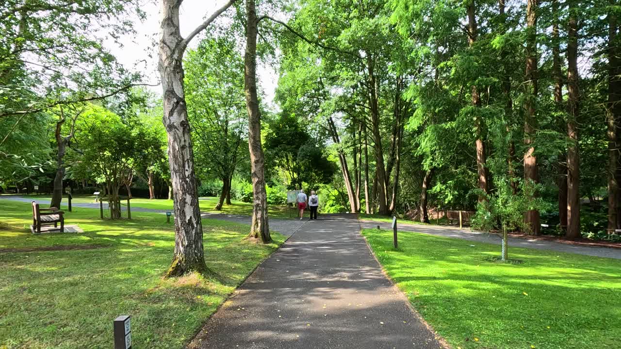 A steady camera moves forward along a sunlit paved path through lush botanical gardens, surrounded by green trees, benches, and manicured lawns