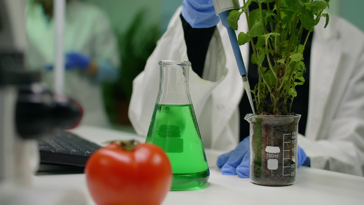 Closeup of botanist reseacher woman taking dna liquid test from medical glass with micropipette