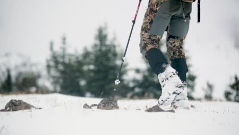 archery bow elk hunting in the snow in montana in october in the snow