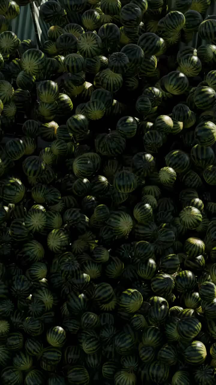 edificio cubierto de sandía