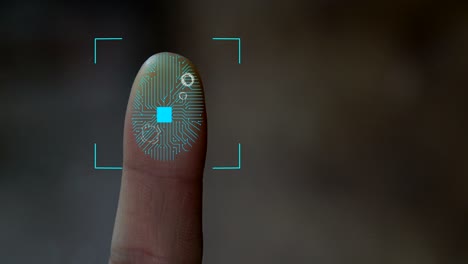 fingerprint scanning futuristic technology , with circuit digital security system.