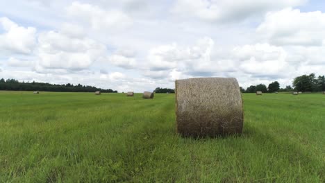 hay bales in a green field