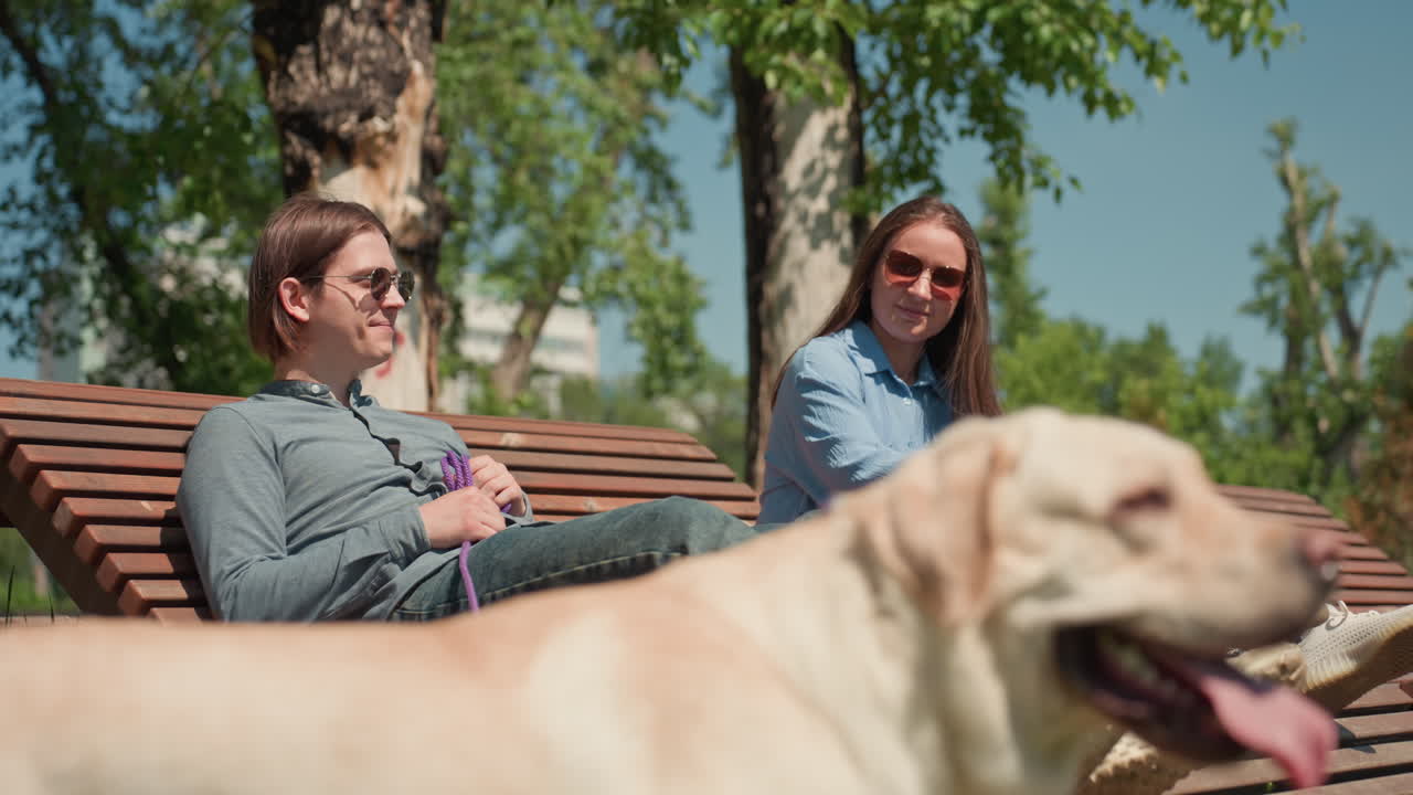 여성들이 야외에서 휴식을 취하고, 잎이 무성한 나무 아래 벤치에 앉아 있으며, 래브라도와 함께 화창한 날을 즐기는 캐주얼한 여성들, 여성들이 이야기를 나누고 래브라도가 잔디밭에서 휴식을 취하는 화창한 여름날