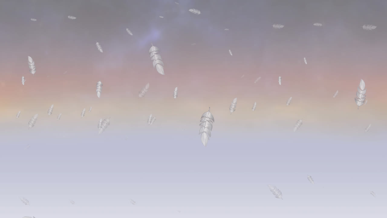 Animation of white bird feathers falling over cloudy sunset background