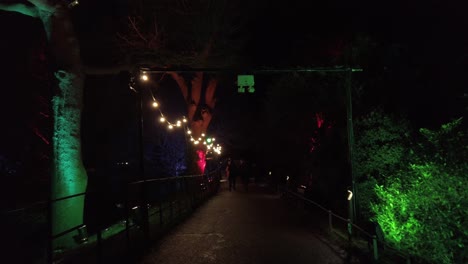 tracking shot of park lights at night on pathway with pretty large bulbs - twinkling effect