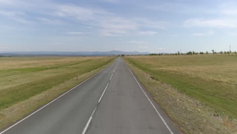 Volando-Sobre-La-Carretera