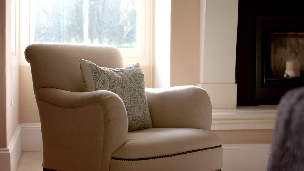 Beige armchair holding blue patterned pillow near window
